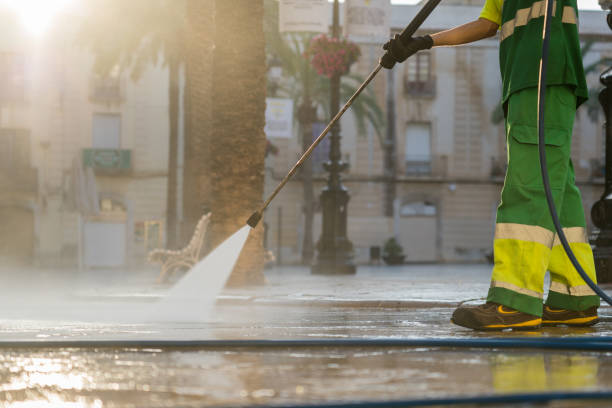 Best Sidewalk and Walkway Cleaning  in Palos Verdes Estates, CA